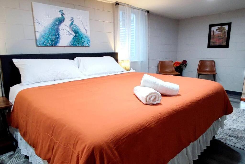 Spacious Suite Close To Downtown Indy/ King Bed إنديانابوليس المظهر الخارجي الصورة